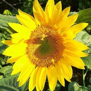 Meet your Posher, Kristi